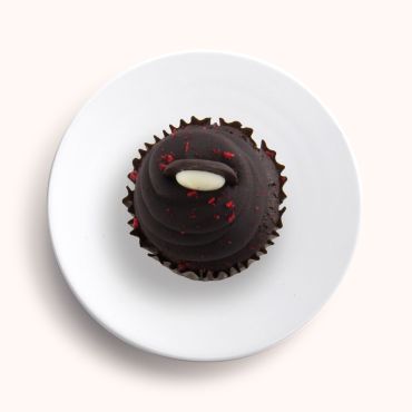 Chocolate & Raspberry Cupcake